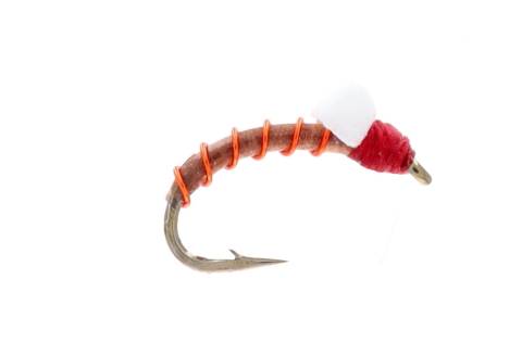 Cat's Matchstick Emerger